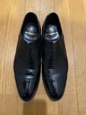 SHINANDOX 셰틀랜드 폭스 사자크 27cm