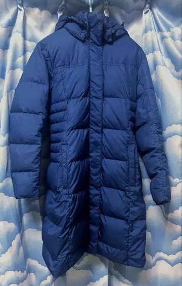 patagonia 다운 위드 잇 후드티
