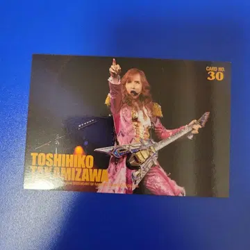 THE ALFEE 트레이딩 카드 30번 타카미자와 씨