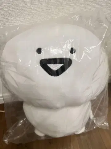 오분구 씨와 함께 봉제 인형