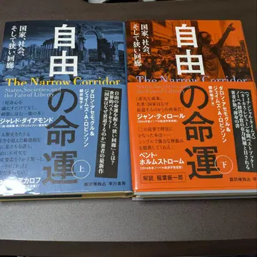 자유의 운명 상하의 세트 국가, 사회, 그리고 좁은 회랑