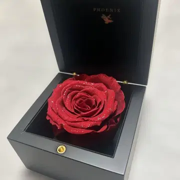 PHOENIX 빨간 장미 기프트 박스 포함