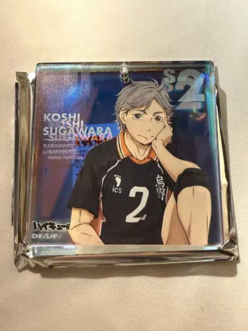 하이큐!! BIG 오로라 브로키 스가와라 코시 쇼와노트