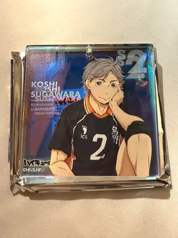 하이큐!! BIG 오로라 브로키 스가와라 코시 쇼와노트