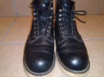 REDWING 레드윙 아이리쉬 세터 8165 깃털 택