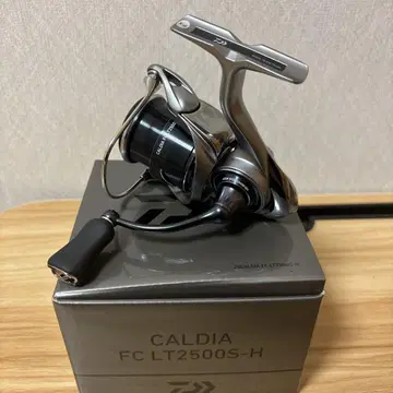 다이와 25 칼디아