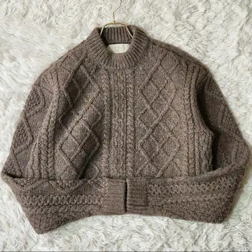 TELOPLAN 니트 크롭 하이넥 아란니트 그레이지