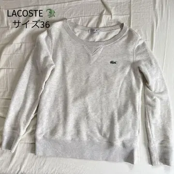 LACOSTE 베이지 그레이 크루넥 맨투맨 스웨터