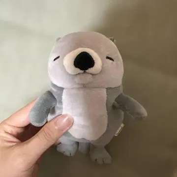 마린월드 오리지널 랏코 봉제 인형 키링