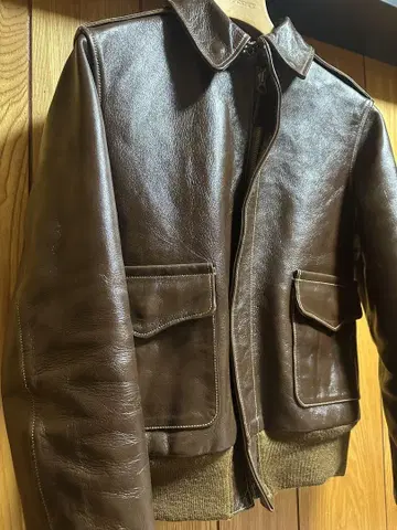 버즈릭슨 A-2 플라이트 자켓