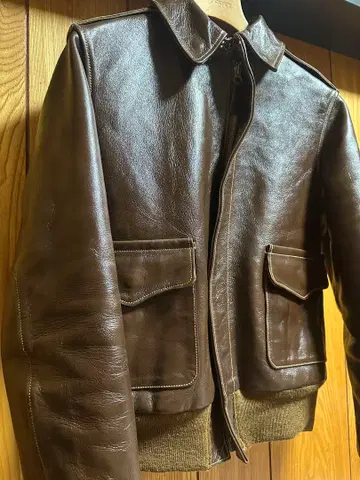 버즈릭슨 A-2 플라이트 자켓