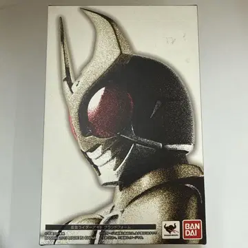 S.H Figuarts 진면목 가면라이더 아기토 그랜드폼