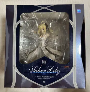 Fate Saber Lily 1/8 스케일 페인팅 피규어