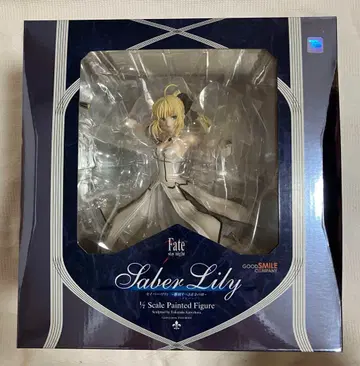 Fate Saber Lily 1/8 스케일 페인팅 피규어