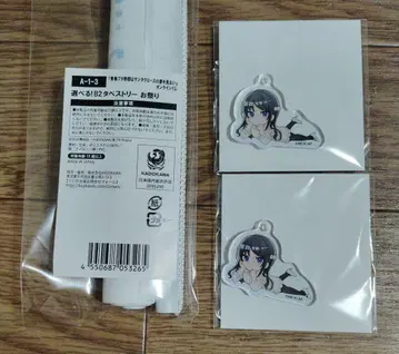 청춘 돼지는 제비뽑기당 B2 태피스트리 아크릴 키링