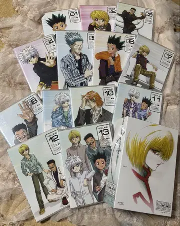 HUNTER x HUNTER 헌터헌터 구 애니메이션 전권+OVA 세트