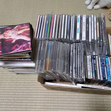CD+DVD 89장 묶음 판매!