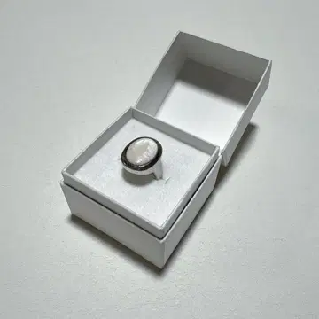 반지 반지