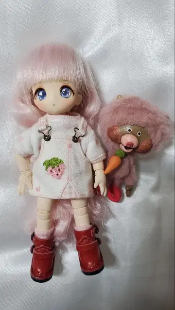치비짱 세트