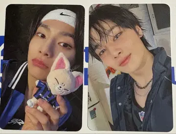 straykids 스키즈 KARMA skzoo반 트레이딩 카드 아이엔