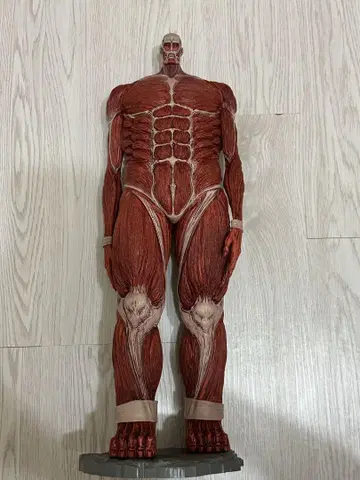 진격의 거인 제일복권 라스트 원 초 대형 거인 피규어