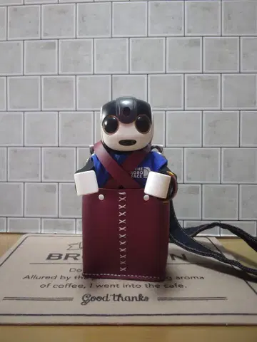 로보혼 외출용 캐리 (와인x화이트)