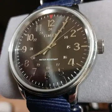 Timex 아날로그 손목시계 다크 그레이 쿼츠