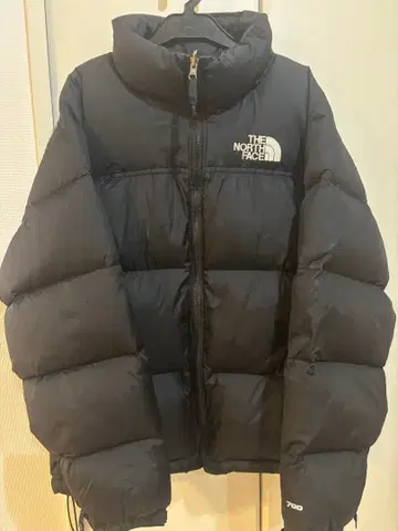THE NORTH FACE 눕시 다운 자켓 700
