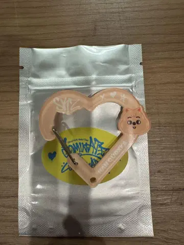 SKZOO SECRET ACRYLIC CARABINER 한쿼카