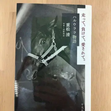 달리고, 지고, 사랑받고. : 하루우라라 이야기