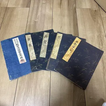 요본 간제류 연습용 요본 고서