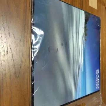 ZARD 비주얼북 디스코그래피