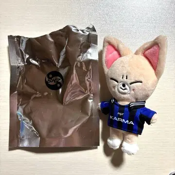 스키즈 카르마 SKZOO반 폭시니