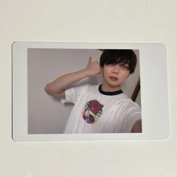 팬더드래곤 아즈 하피카