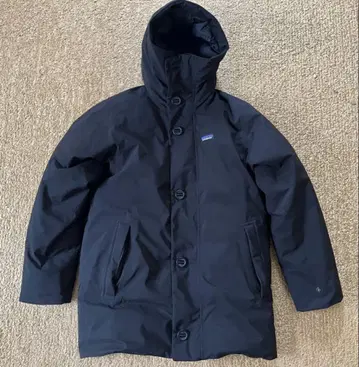 Patagonia 프로즌 렌 후드티