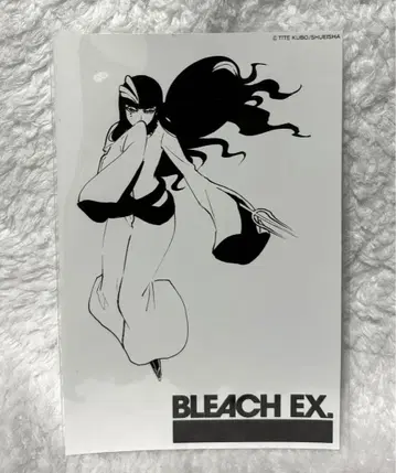 BLEACH EX. 원화전 시안 순순 오리지널 브로마이드