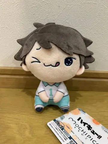 하이큐 모찌피코 봉제 인형 오이카와