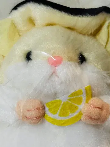지역 특색 햄스터 딸기 마스코트