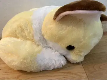 쵸콘과 여우 큐르르 잠자는 울트라 BIG 봉제 인형 콘페이토