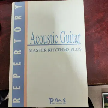 Acoustic Guitar Master Rhythms Plus