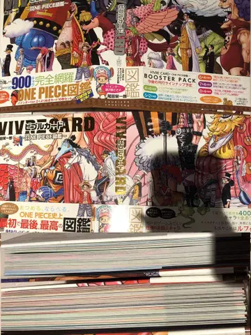 ONE PIECE 도감 원피스 바인더 무기와라 스토어 비블 카드