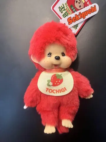 sekiguchi 고토치 몬치치 도치기 한정판 딸기 레어 몬치치