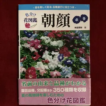 색상 구분 꽃 도감 나팔꽃