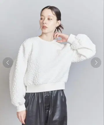 유나이티드 애로우즈 레오파드 자카드 풀오버
