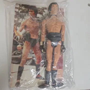 액션 피규어 격투가 약 30cm