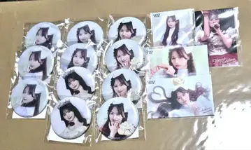 타치바나 코토미 스키복권