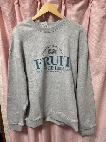 FRUIT OF THE LOOM 프룻 오브 더 룸 맨투맨 XL
