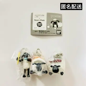 숀더쉽 초밥 스윙 가챠 숀 헤이즐 셜리