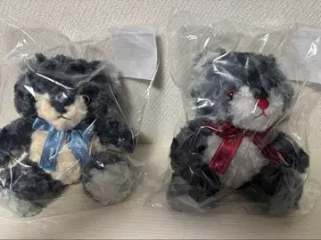 니지산지 니지베어 쿠츠하 카나에
