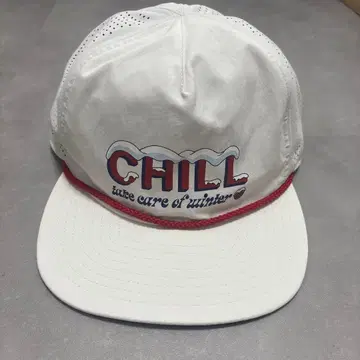 Patagonia Snowfarer cap